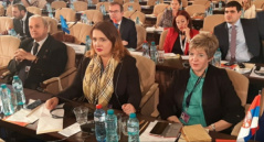 1 April 2019 The delegation of the European Integration Committee at the interparliamentary conference on the Future of the European Union in Bucharest